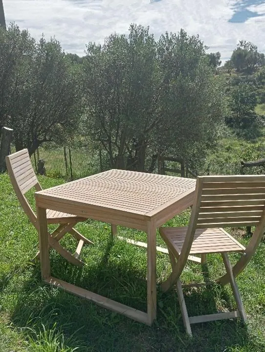 Podere Maletto - Appartamento Con Piscina Interna Riscaldata サヴォーナ 別荘